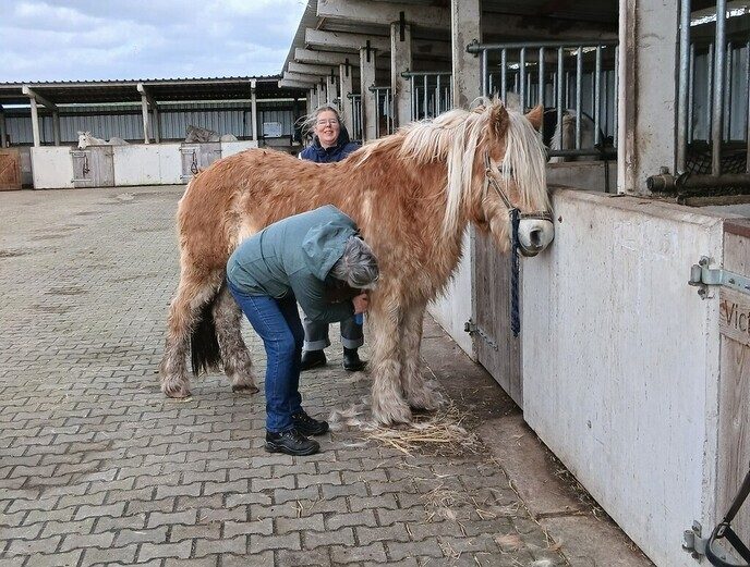 Een maand is altijd zo weer voorbij - Foto: Ingezonden foto