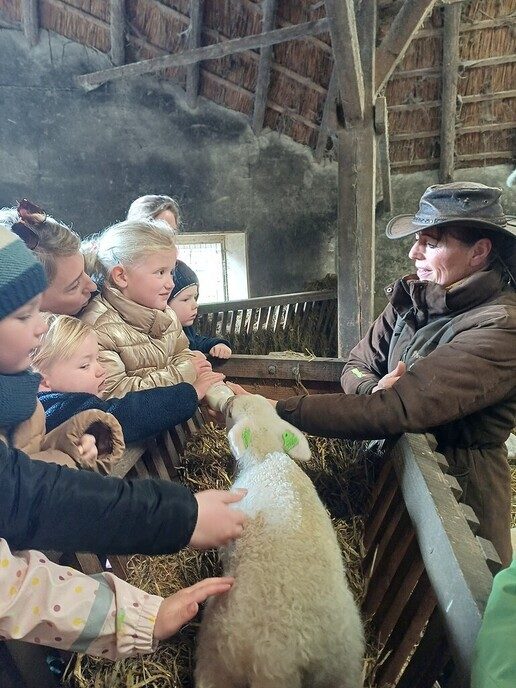 Het was gisteren lammetjesdag bij de Lemelerberg - Foto: Ingezonden foto