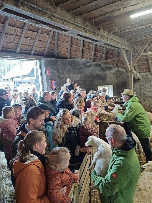 Het was gisteren lammetjesdag bij de Lemelerberg - Foto: Ingezonden foto