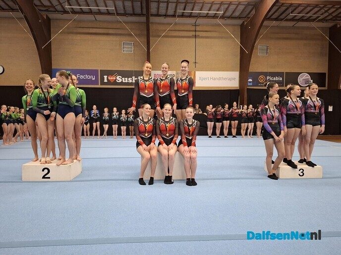 Turnselectie gym. ver. Nieuwleusen goed voor goud - Foto: Ingezonden foto