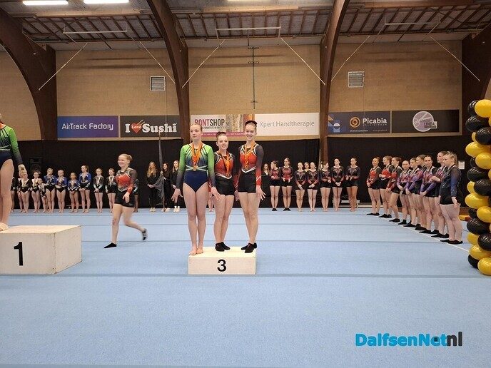 Turnselectie gym. ver. Nieuwleusen goed voor goud - Foto: Ingezonden foto