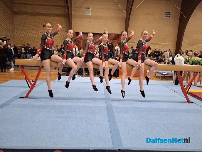Turnselectie gym. ver. Nieuwleusen goed voor goud - Foto: Ingezonden foto
