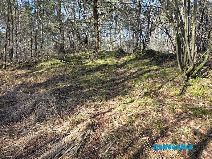 Vilsterenseveld - Foto: Ingezonden foto