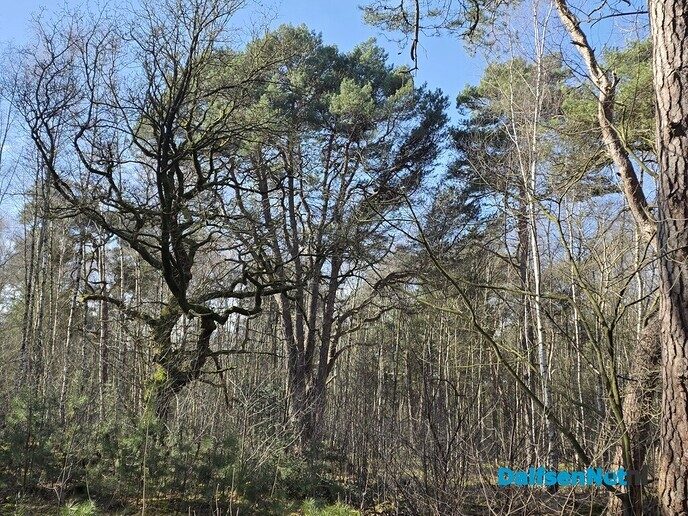 Vilsterenseveld - Foto: Ingezonden foto