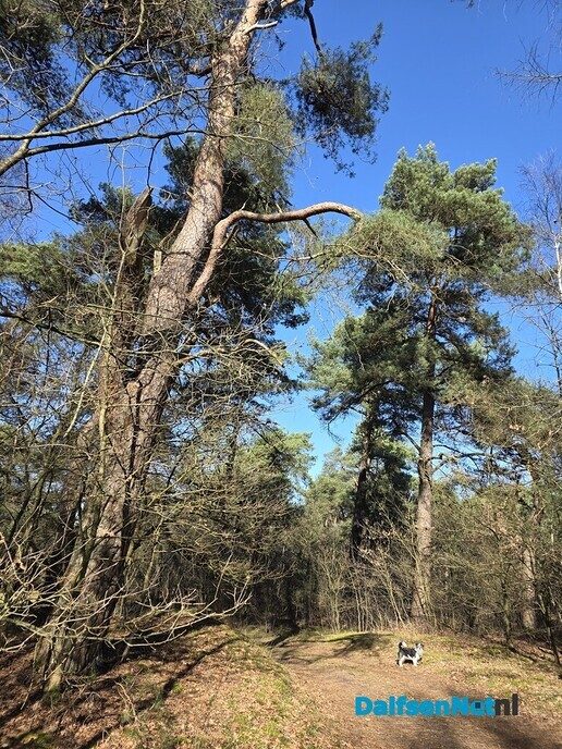 Vilsterenseveld - Foto: Ingezonden foto