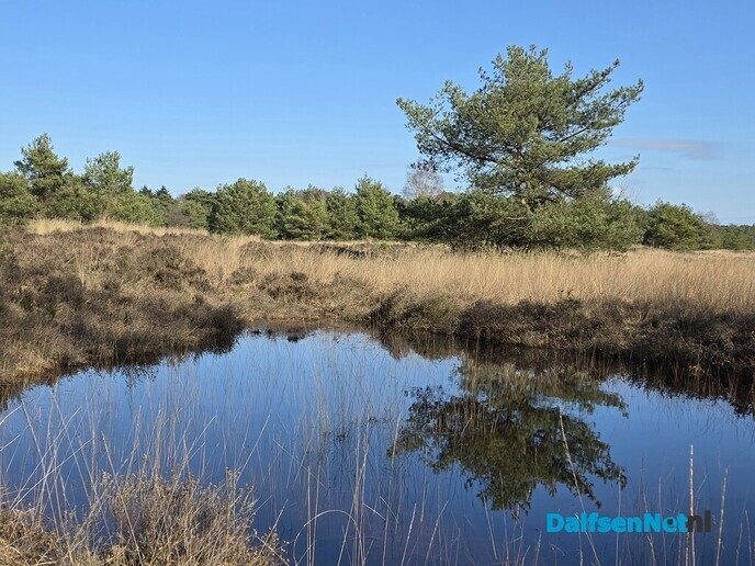 Vilsterenseveld - Foto: Ingezonden foto