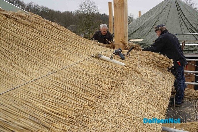 Rietdekkers aan het werk bij Lindehoeve - Foto: Paul Scholten