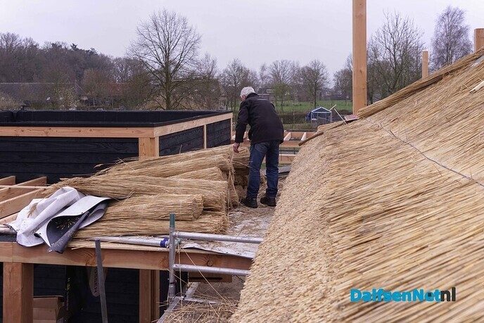 Rietdekkers aan het werk bij Lindehoeve - Foto: Paul Scholten