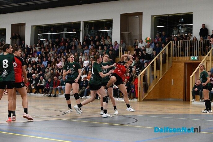 Handbalsters SV Dalfsen promoveren naar eerste divisie - Foto: Johan Bokma