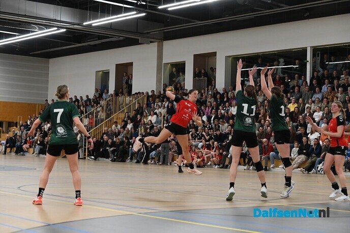Handbalsters SV Dalfsen promoveren naar eerste divisie - Foto: Johan Bokma