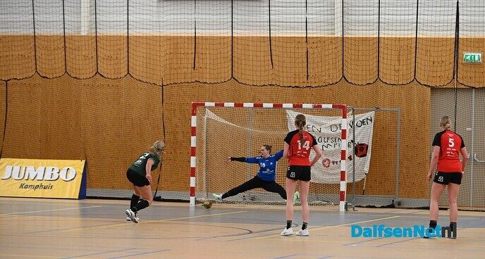 Handbalsters SV Dalfsen promoveren naar eerste divisie - Foto: Johan Bokma