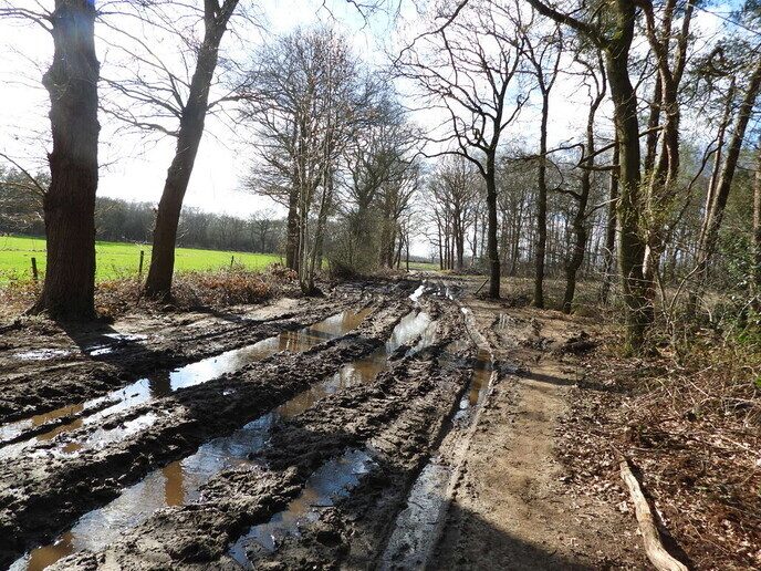 Wandelen en “aanmodderen” in Arriën - Foto: Femmie Smink