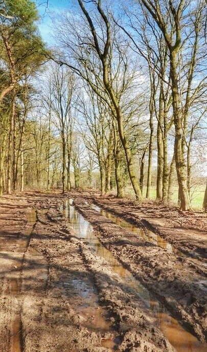 Wandelen en “aanmodderen” in Arriën - Foto: Femmie Smink