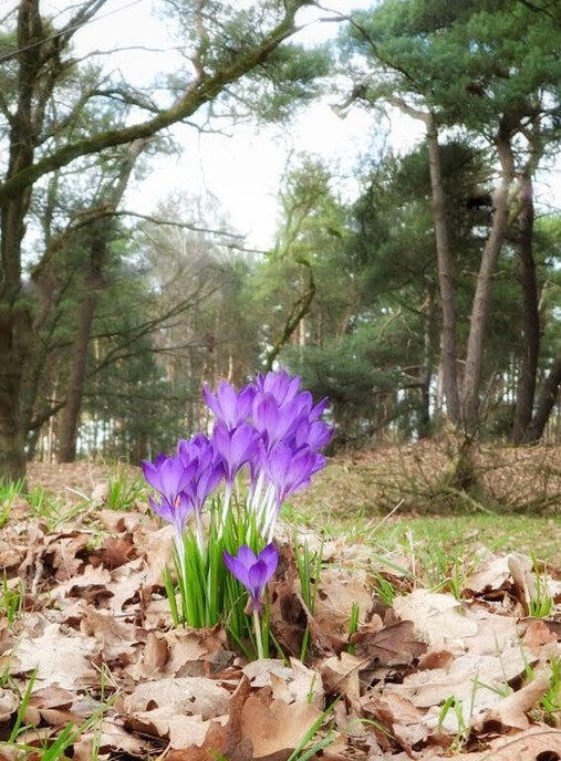 Wandelen en “aanmodderen” in Arriën - Foto: Femmie Smink