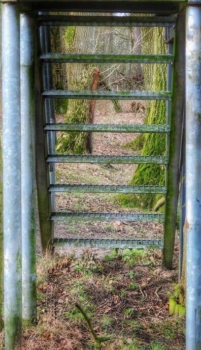 Wandelen en “aanmodderen” in Arriën - Foto: Femmie Smink