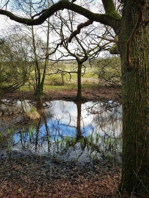 Wandelen en “aanmodderen” in Arriën - Foto: Femmie Smink