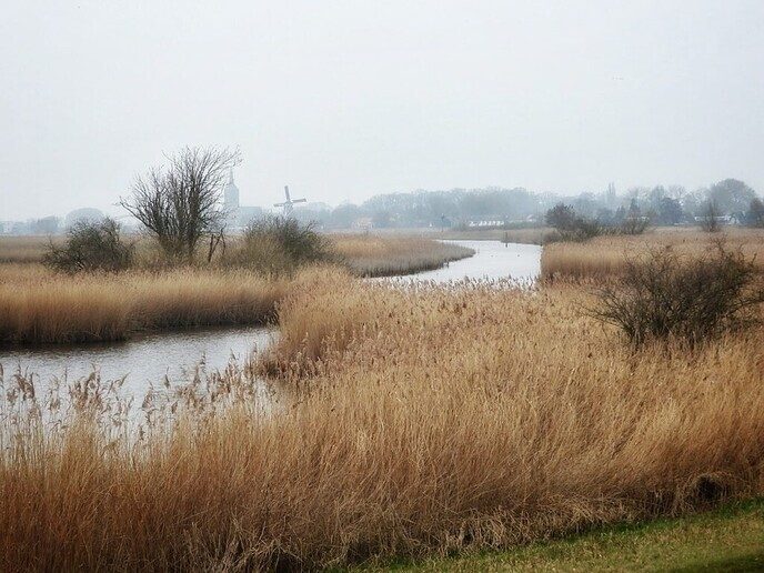 Dicht bij Hasselt is ook een Holten - Foto: Femmie Smink