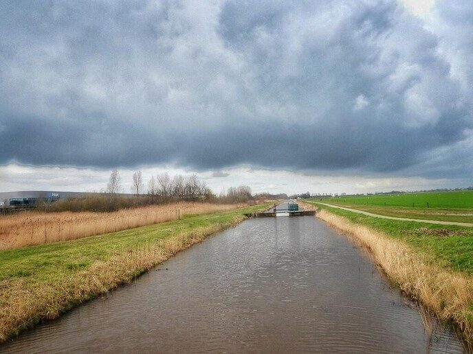 De weidevogels zijn aangekomen op de Hessenpoort - Foto: Femmie Smink