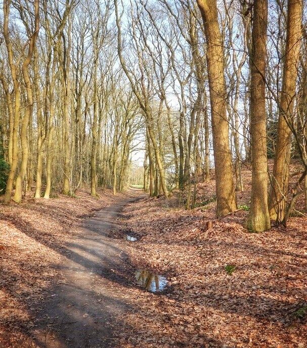 Wandelnetwerk met verschillende routes - Foto: Femmie Smink
