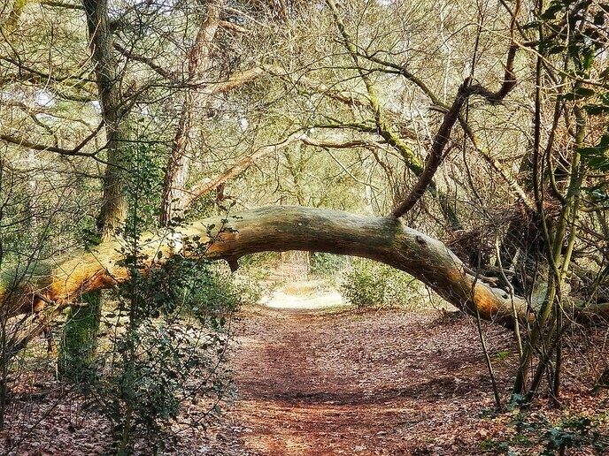 Wandelnetwerk met verschillende routes - Foto: Femmie Smink