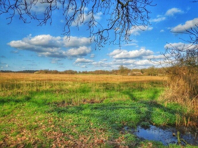 Wandelnetwerk met verschillende routes - Foto: Femmie Smink