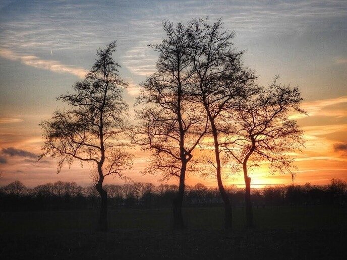 Zonsondergang - Foto: Femmie Smink