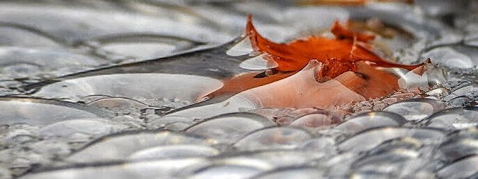 Gewoon doen, dat blijkt wel weer - Foto: Femmie Smink