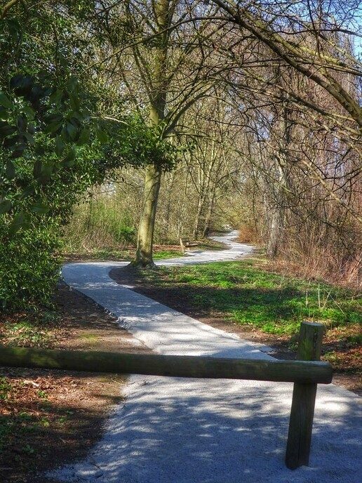 Grote opfrisbeurt bij Hulsterplas - Foto: Femmie Smink