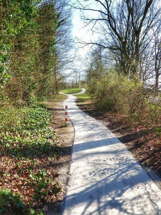 Grote opfrisbeurt bij Hulsterplas - Foto: Femmie Smink