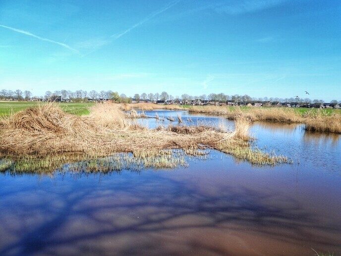 Grote opfrisbeurt bij Hulsterplas - Foto: Femmie Smink