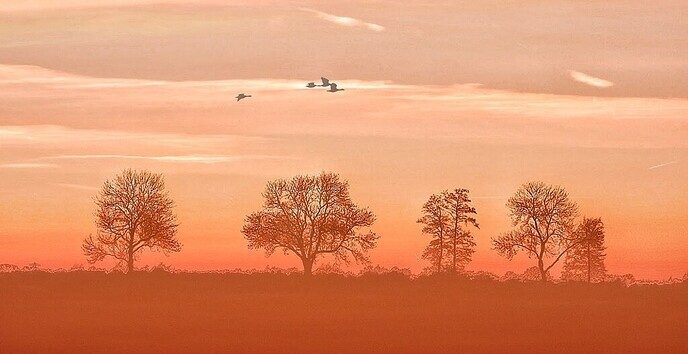 Zonsondergang - Foto: Femmie Smink