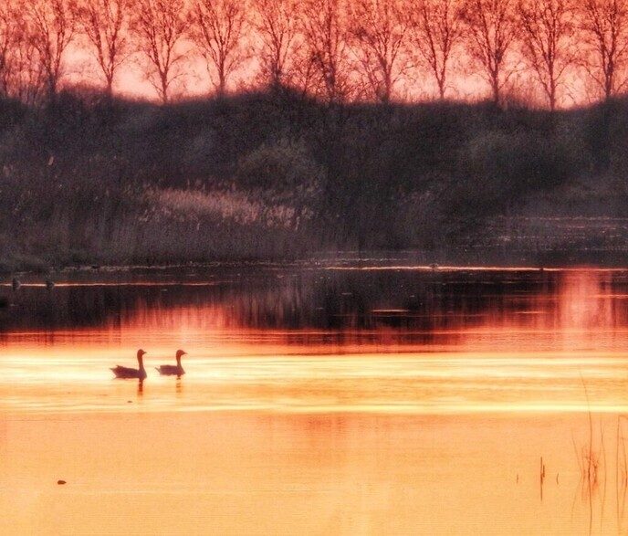Zonsondergang - Foto: Femmie Smink