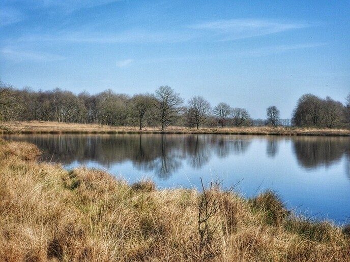 Zwarte Gat een prachtig stuk natuur - Foto: Femmie Smink