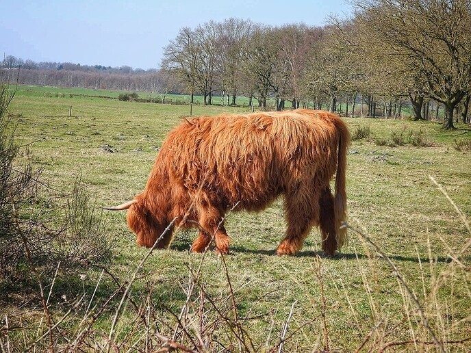 Zwarte Gat een prachtig stuk natuur - Foto: Femmie Smink