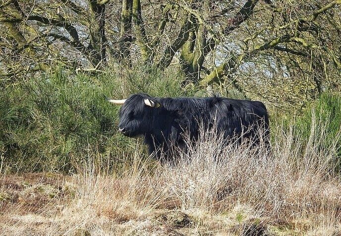Zwarte Gat een prachtig stuk natuur - Foto: Femmie Smink