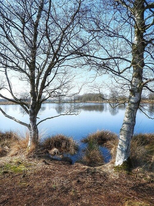 Zwarte Gat een prachtig stuk natuur - Foto: Femmie Smink