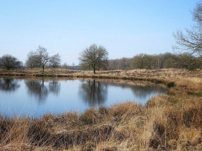 Zwarte Gat een prachtig stuk natuur - Foto: Femmie Smink
