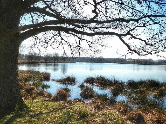 Zwarte Gat een prachtig stuk natuur - Foto: Femmie Smink