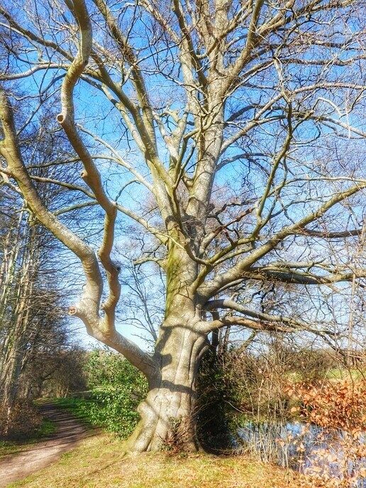 Nieuwleusen, Staphorst, De Wijk, IJhorst: mooi stukkie trappen - Foto: Femmie Smink