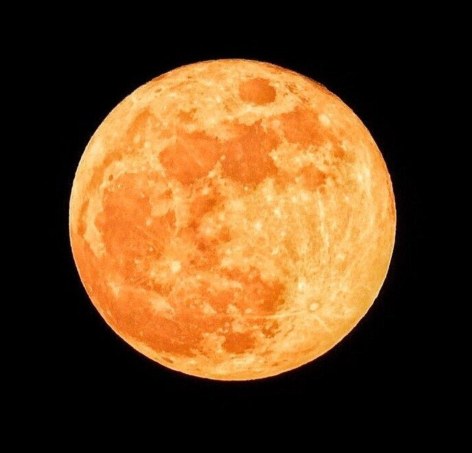 Bloedmaan - Foto: Femmie Smink