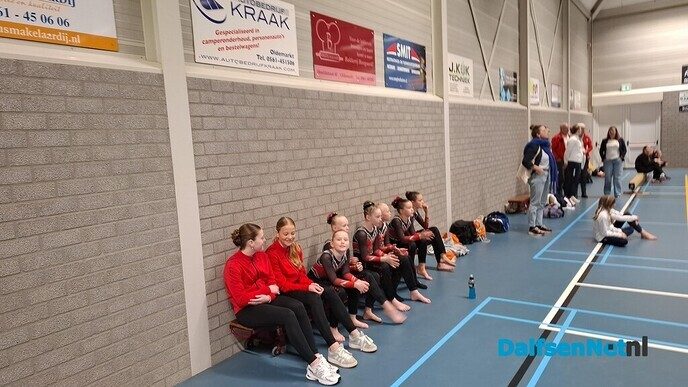 Turnsters gym. ver. Nieuwleusen presteren uitstekend - Foto: Ingezonden foto