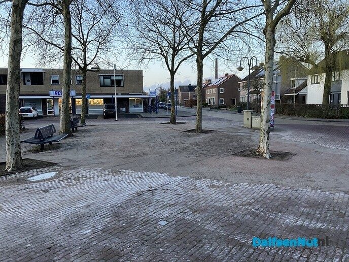 Bestrating rondom platanen voorplein r.k. kerk Dalfsen verwijderd - Foto: Paul Scholten