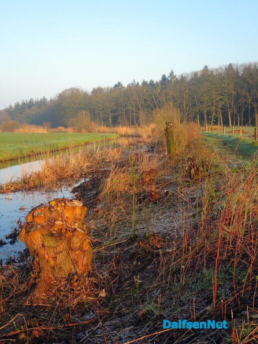 Wandelen van Hoonhorst, via de Horte en over Langeslag - Foto: Wim