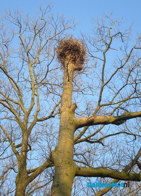 Wandelen van Hoonhorst, via de Horte en over Langeslag - Foto: Wim