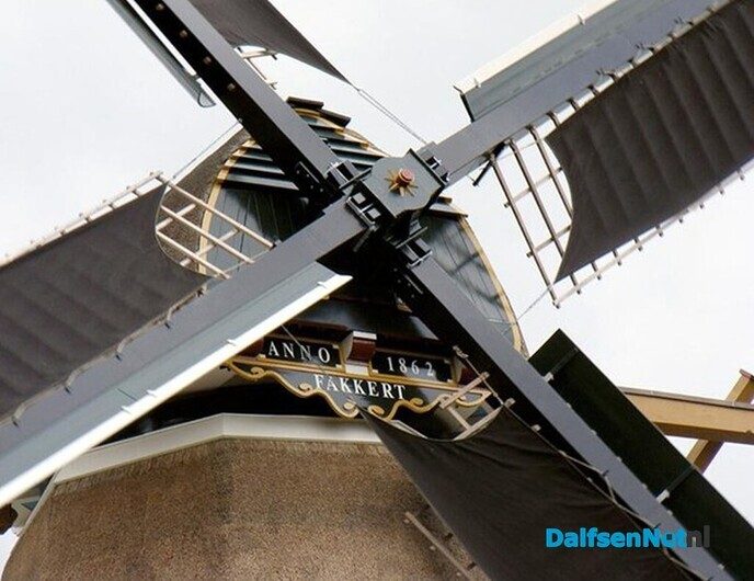 Tegel gelicht over het DNA van Dalfsen - Foto: Ingezonden foto