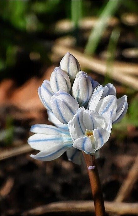 De tuin begint al wat te kleuren - Foto: Femmie Smink