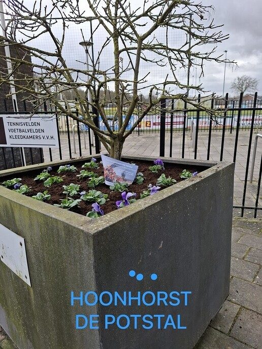Gemeentebelangen zet de kernen in de bloemetjes - Foto: Ingezonden foto