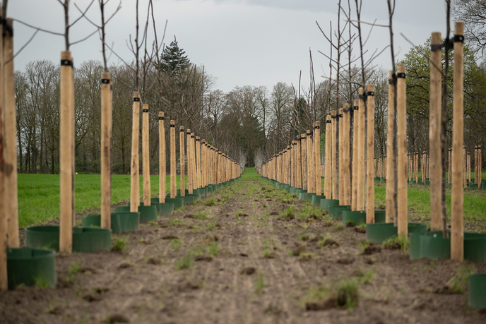 Provincie grijpt in - Foto: Ingezonden foto