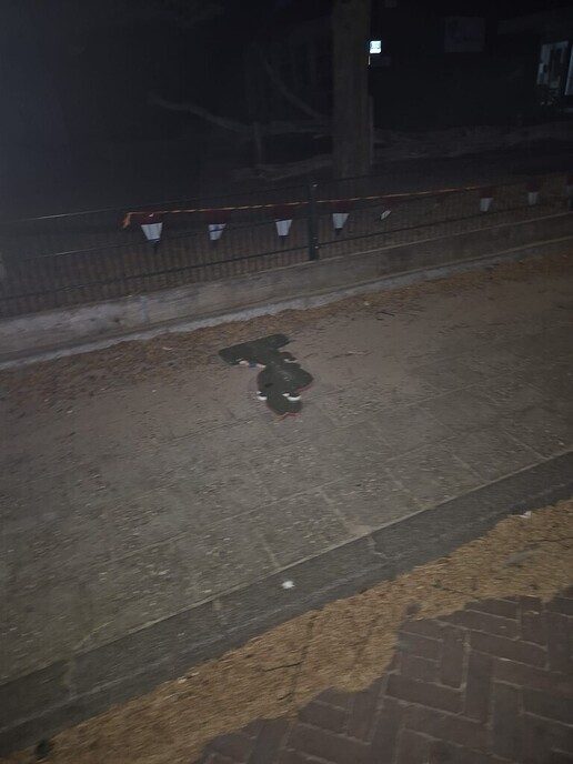 Vernielingen in de Koestraat - Foto: Ingezonden foto