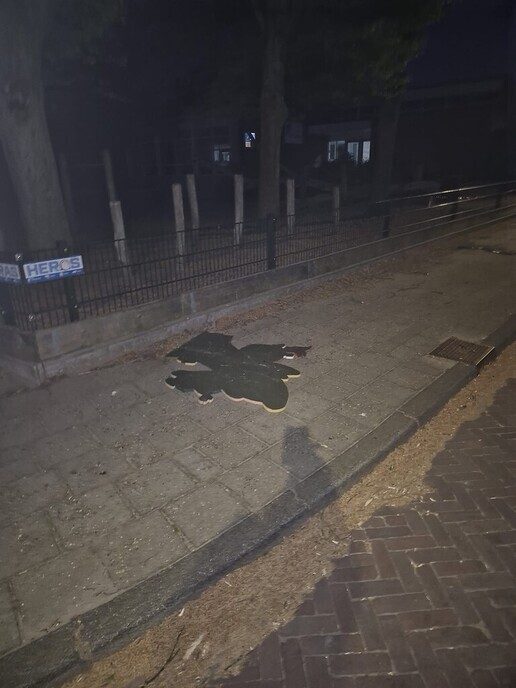 Vernielingen in de Koestraat - Foto: Ingezonden foto